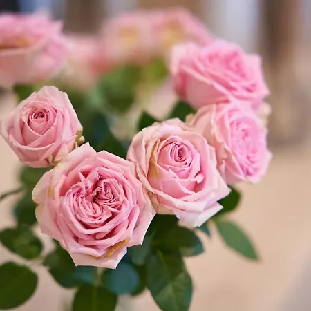 Hotel Marco Polo Munster (North Rhine-Westphalia)