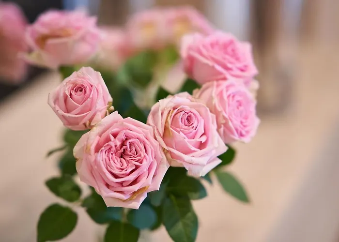 מלון Marco Polo מונסטר